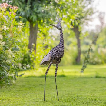 Kroonkraanvogel groot